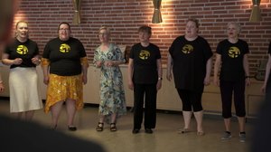 Pisara: 24.08.2019 15.10