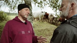 Beppen makumatkassa: 24.08.2019 06.00