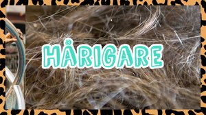 Milloin on aika aloittaa parranajo? (S): 01.09.2019 00.01