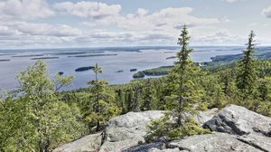 Suomen luonnon päivä sai ihmiset lähtemään metsään: 02.09.2019 10.00