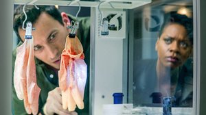 Velvollisuus puhua totta 2/2 (12): 06.09.2019 06.00