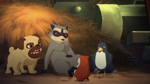 Outoja oireita (S): 07.09.2019 09.08