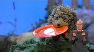 Rune ei osaa leikkiä: 09.09.2019 06.00