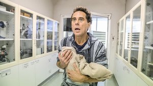 Ihan puskista (7): 09.09.2019 06.00