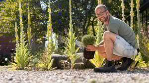 Søren Vesterin puutarha