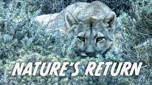 Avara luonto: Luonnon paluu