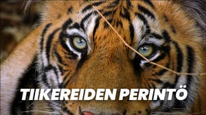 Tiikereiden perintö