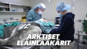 Arktiset eläinlääkärit