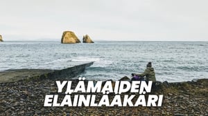 Ylämaiden eläinlääkäri