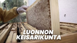 Luonnon keisarikunta