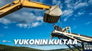 Yukonin kultaa