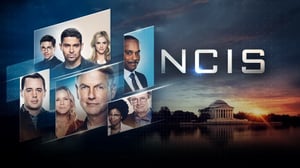 Navy NCIS: Naval Criminal Investigative Service