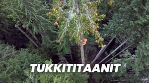 Tukkititaanit