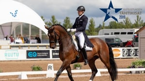 Kenttäratsastus: Maastoestekoe CCN*** Seniorien SM - Kouluratsastus: Maastoestekoe CCN*** Seniorien SM 18.8.