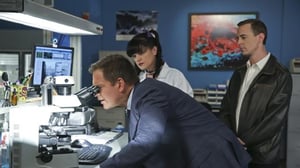 NCIS (Paramount+) (12) - 16 Years