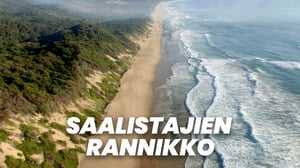Saalistajien rannikko (7) - Saalistajien rannikko (7)