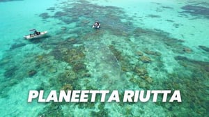 Planeetta riutta