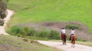 Vieraissa Australia - Järkytyksiä