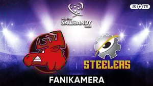 Happee - Steelers, Fanikamera - Happee - Steelers, Fanikamera 6.10.