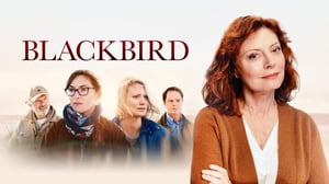 Blackbird (12)