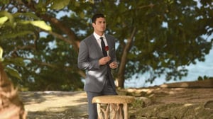 Unelmien poikamies - Valinta