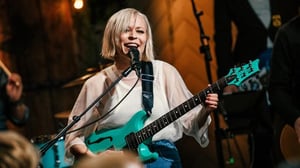 Vain elämää - Vesalan päivä