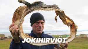 Jokihirviöt
