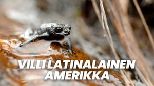 Villi Latinalainen Amerikka