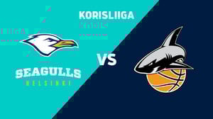 Helsinki Seagulls - Korihait - Helsinki Seagulls - Korihait 28.11.