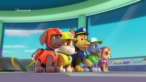 Paw Patrol(Paramount+) - Eksynyt Pikku-delfiini / Salaperäiset Kalavarkaat