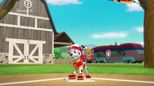 Paw Patrol(Paramount+) - Urheilijapennut / Urheilupäivä