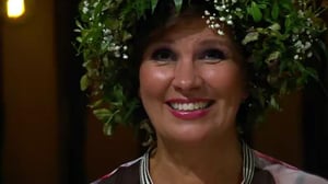 Vain elämää - Arjan päivä