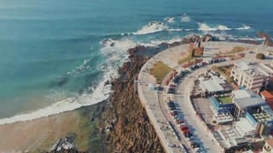 Rakkaudesta lajiin - Espanja