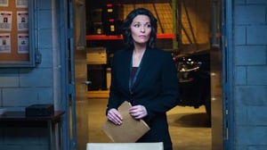 FBI: Most Wanted (12) - Incel