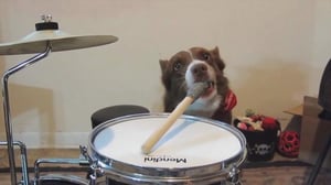 Clickbait - Clickbait