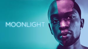 Moonlight (12) - Moonlight