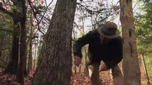 Vuorien sankarit (7) - Metsästäjä ja saalis