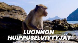 Luonnon huippuselviytyjät