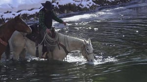 Vuorien sankarit - Hevoskauppaa takamailla