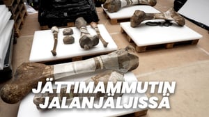 Jättimammutin jalanjäljissä