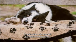 Rikkaiden panttilainaamo - Paloautobaari