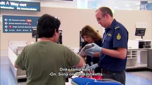 Australian rajalla - Munia haaroissa