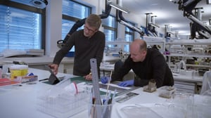 Viikingit: Kadotettu valtakunta (7) - Viikingit: Kadotettu valtakunta (7)