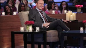 Unelmien poikamiestyttö - Miehet kertovat kaiken