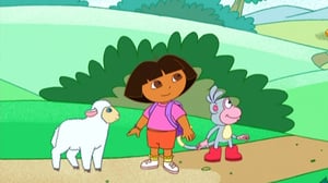 Seikkailija Dora (S) - Eksynyt lammas