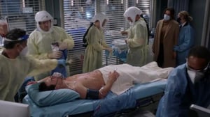 Greyn anatomia (16) - Turvapaikka