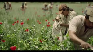 El Chapo (16) - Kadonneet