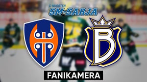 Tappara - Blues, Fanikamera - Tappara - Blues, Fanikamera 31.1.