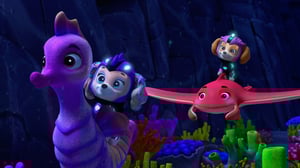 PAW Patrol (S) - Aqua Pups Save the Reef; Aqua Pups Stop a Giant Squid