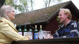 Huvila & Huussi - Väriä mökkiin ja paremmat löylyt